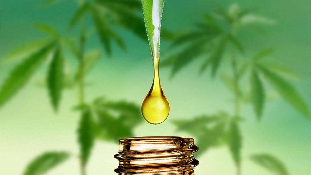Do I Need Synthetic Urine For A Drug Test For CBD Consumption - 2