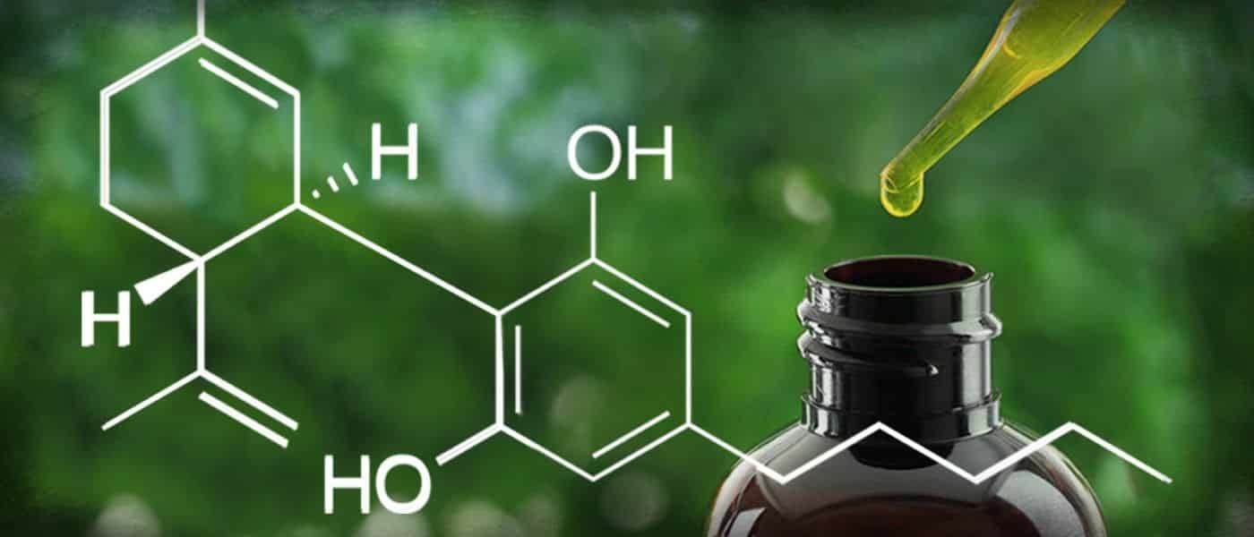 Do I Need Synthetic Urine For A Drug Test For CBD Consumption