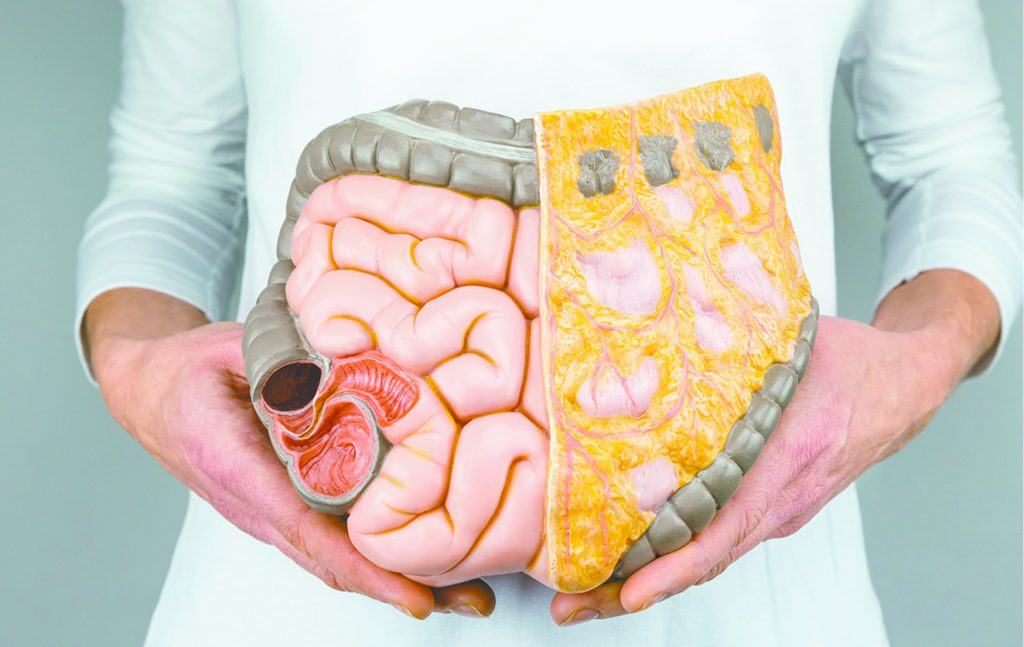 Why is the Colon Important to Health?