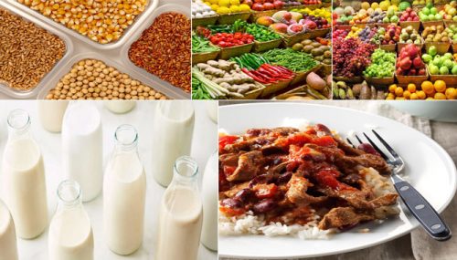 5 Main Types of Healthy Food