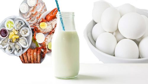 Healthy Food for Youngsters to Consume