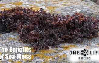 The Benefits of Sea Moss