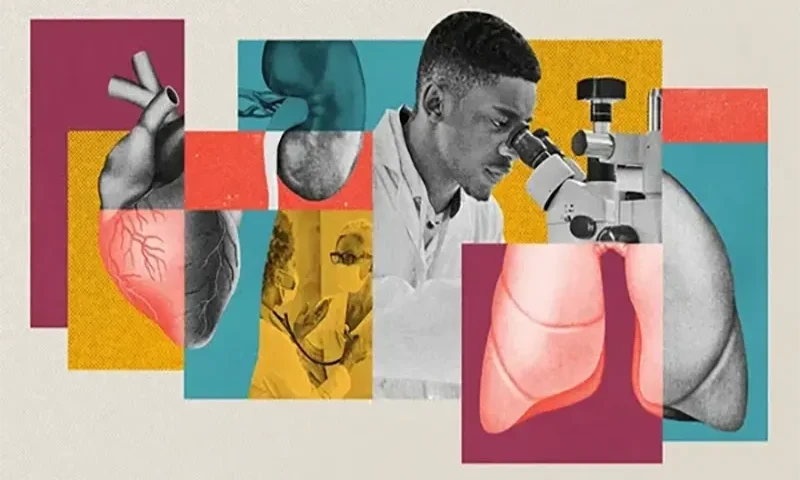 Proactive Steps: Implementing Preventative Healthcare Strategies for an Aging Global Population Facing Chronic Disease Challenges